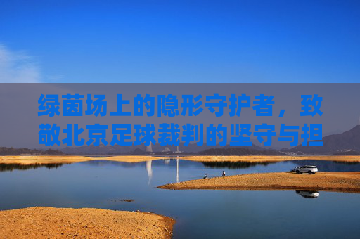 绿茵场上的隐形守护者,致敬北京足球裁判的坚守与担当
