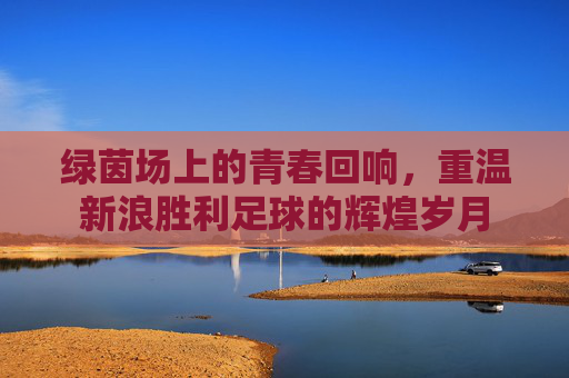 绿茵场上的青春回响,重温新浪胜利足球的辉煌岁月