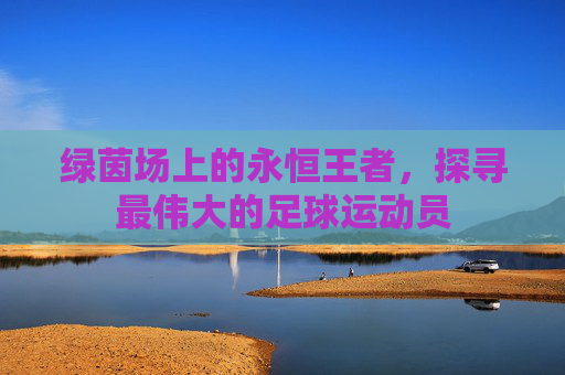 绿茵场上的永恒王者,探寻最伟大的足球运动员