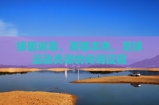 绿茵谢幕,英雄本色,足球运动员谢的传奇征程