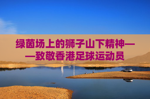绿茵场上的狮子山下精神——致敬香港足球运动员