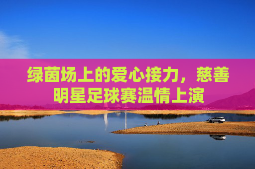 绿茵场上的爱心接力,慈善明星足球赛温情上演