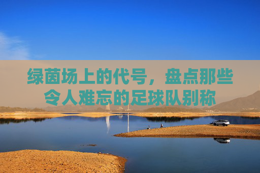 绿茵场上的代号,盘点那些令人难忘的足球队别称