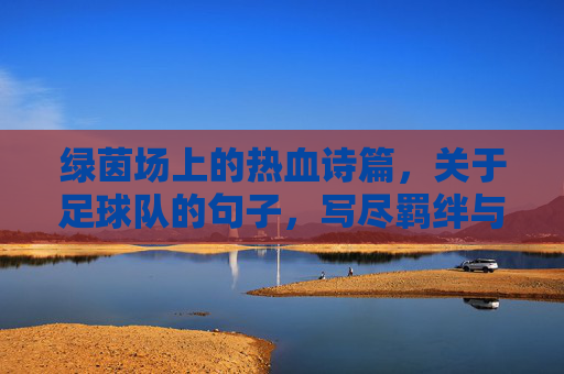 绿茵场上的热血诗篇,关于足球队的句子,写尽羁绊与荣耀