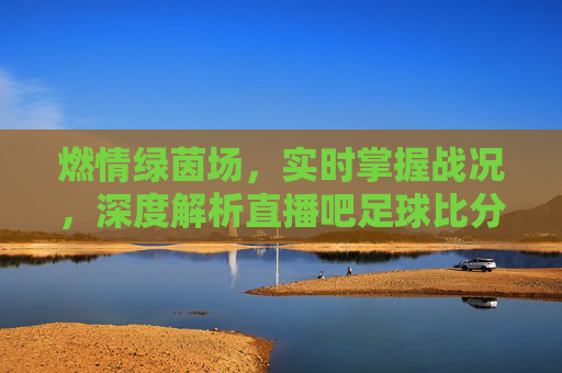 燃情绿茵场,实时掌握战况,深度解析直播吧足球比分直播的魅力
