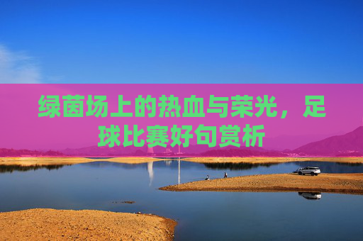 绿茵场上的热血与荣光，足球比赛好句赏析