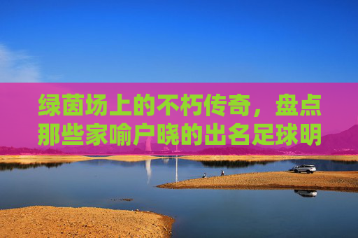 绿茵场上的不朽传奇，盘点那些家喻户晓的出名足球明星