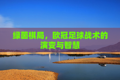 绿茵棋局,欧冠足球战术的演变与智慧