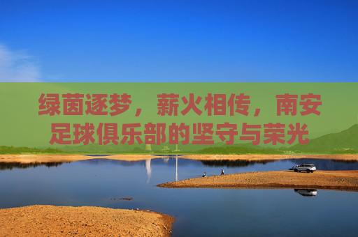 绿茵逐梦,薪火相传,南安足球俱乐部的坚守与荣光