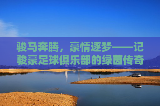 骏马奔腾,豪情逐梦——记骏豪足球俱乐部的绿茵传奇