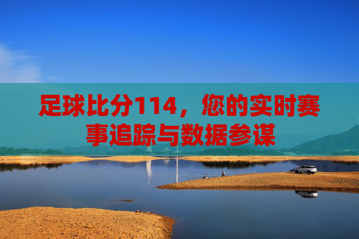 足球比分114，您的实时赛事追踪与数据参谋