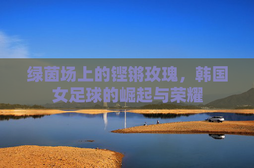绿茵场上的铿锵玫瑰,韩国女足球的崛起与荣耀