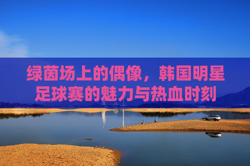 绿茵场上的偶像,韩国明星足球赛的魅力与热血时刻