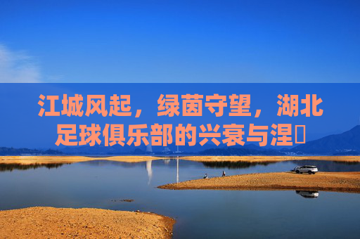 江城风起,绿茵守望,湖北足球俱乐部的兴衰与涅槃