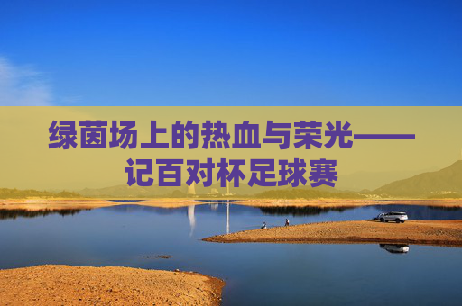 绿茵场上的热血与荣光——记百对杯足球赛