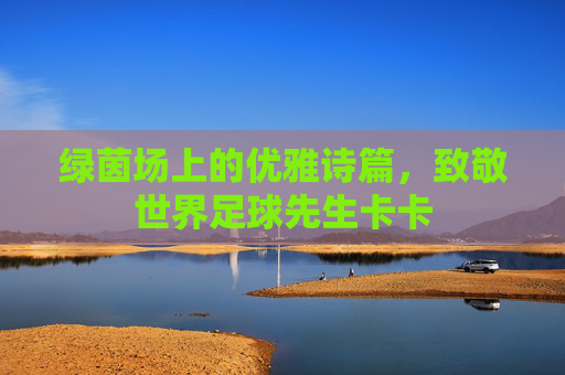 绿茵场上的优雅诗篇,致敬世界足球先生卡卡