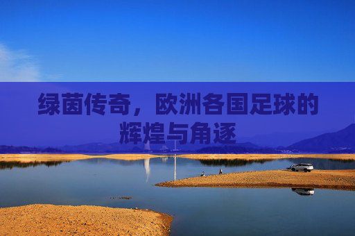 绿茵传奇,欧洲各国足球的辉煌与角逐