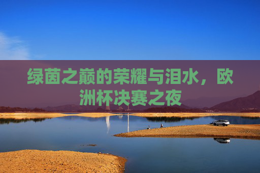 绿茵之巅的荣耀与泪水，欧洲杯决赛之夜
