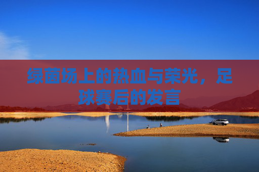 绿茵场上的热血与荣光,足球赛后的发言