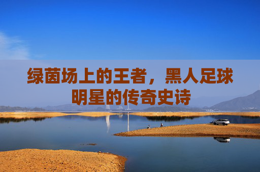 绿茵场上的王者,黑人足球明星的传奇史诗