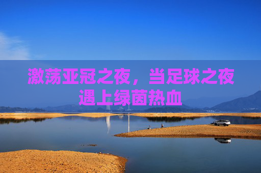 激荡亚冠之夜,当足球之夜遇上绿茵热血