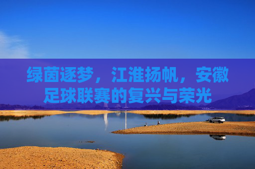 绿茵逐梦,江淮扬帆,安徽足球联赛的复兴与荣光