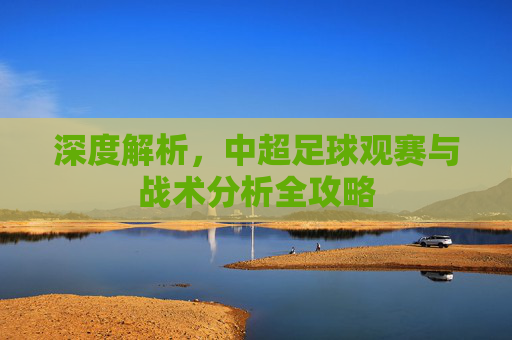 深度解析,中超足球观赛与战术分析全攻略