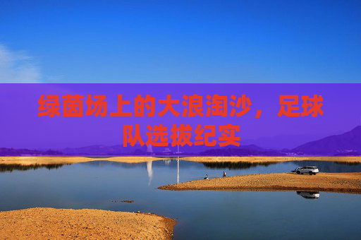 绿茵场上的大浪淘沙，足球队选拔纪实