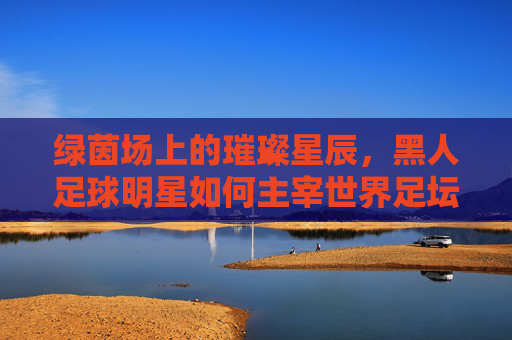 绿茵场上的璀璨星辰，黑人足球明星如何主宰世界足坛