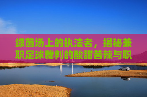 绿茵场上的执法者，揭秘兼职足球裁判的酸甜苦辣与职业前景