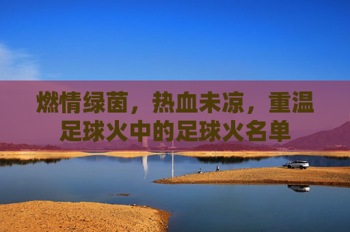 燃情绿茵，热血未凉，重温足球火中的足球火名单