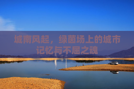 城南风起,绿茵场上的城市记忆与不屈之魂