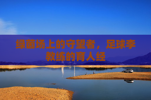 绿茵场上的守望者,足球李教练的育人经