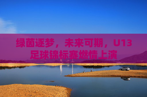 绿茵逐梦，未来可期，U13足球锦标赛燃情上演