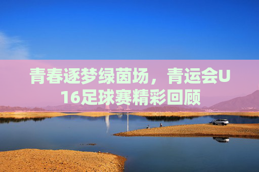 青春逐梦绿茵场,青运会U16足球赛精彩回顾