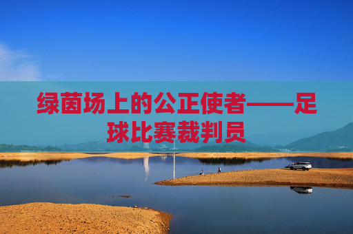 绿茵场上的公正使者——足球比赛裁判员