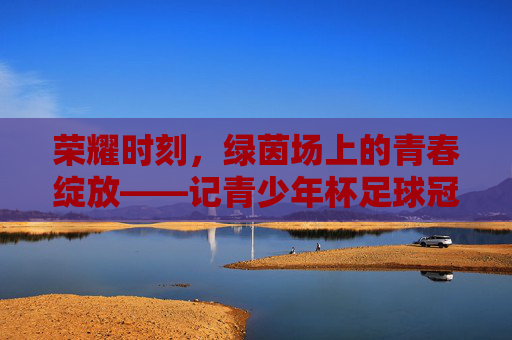 荣耀时刻,绿茵场上的青春绽放——记青少年杯足球冠军诞生