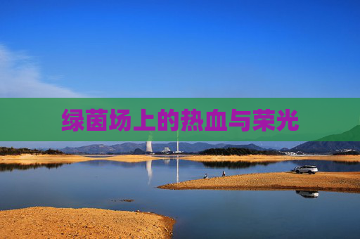 绿茵场上的热血与荣光