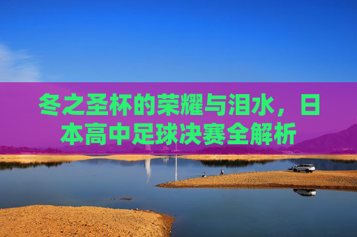 冬之圣杯的荣耀与泪水,日本高中足球决赛全解析