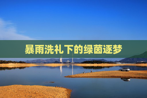 暴雨洗礼下的绿茵逐梦