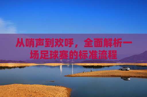 从哨声到欢呼,全面解析一场足球赛的标准流程