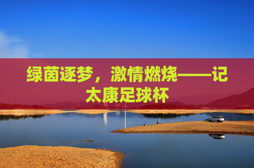 绿茵逐梦,激情燃烧——记太康足球杯