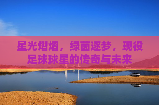 星光熠熠，绿茵逐梦，现役足球球星的传奇与未来
