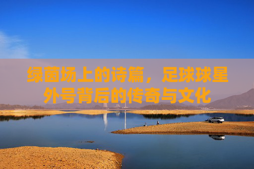 绿茵场上的诗篇，足球球星外号背后的传奇与文化