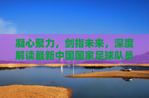凝心聚力,剑指未来,深度解读最新中国国家足球队员名单