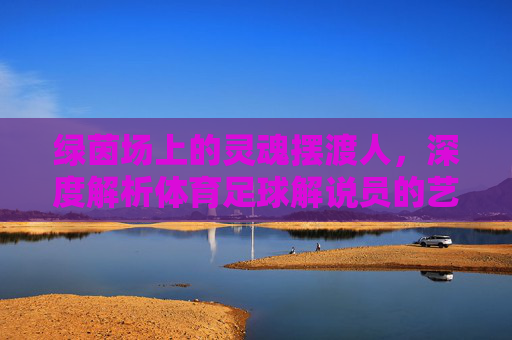 绿茵场上的灵魂摆渡人,深度解析体育足球解说员的艺术与魅力