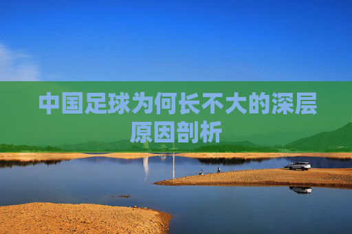 中国足球为何长不大的深层原因剖析