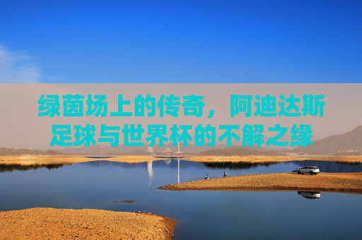绿茵场上的传奇,阿迪达斯足球与世界杯的不解之缘