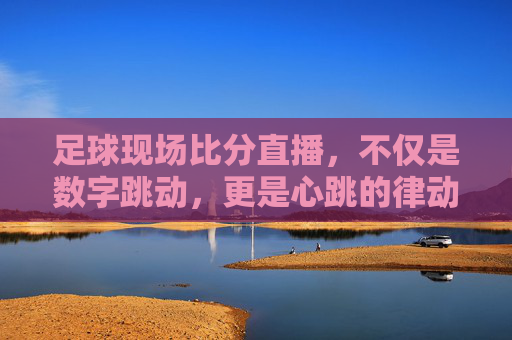 足球现场比分直播,不仅是数字跳动,更是心跳的律动
