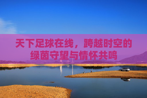 天下足球在线,跨越时空的绿茵守望与情怀共鸣